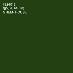 #224012 - Green House Color Image